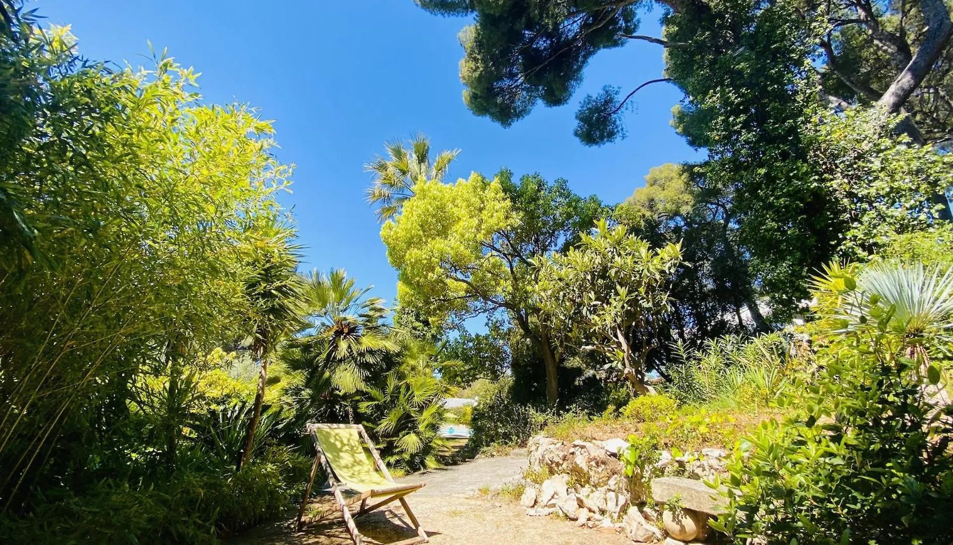 Villa Oasis De Verdure - Elegance En Provence - Piscine - 1 A 6 Personnes Cassis