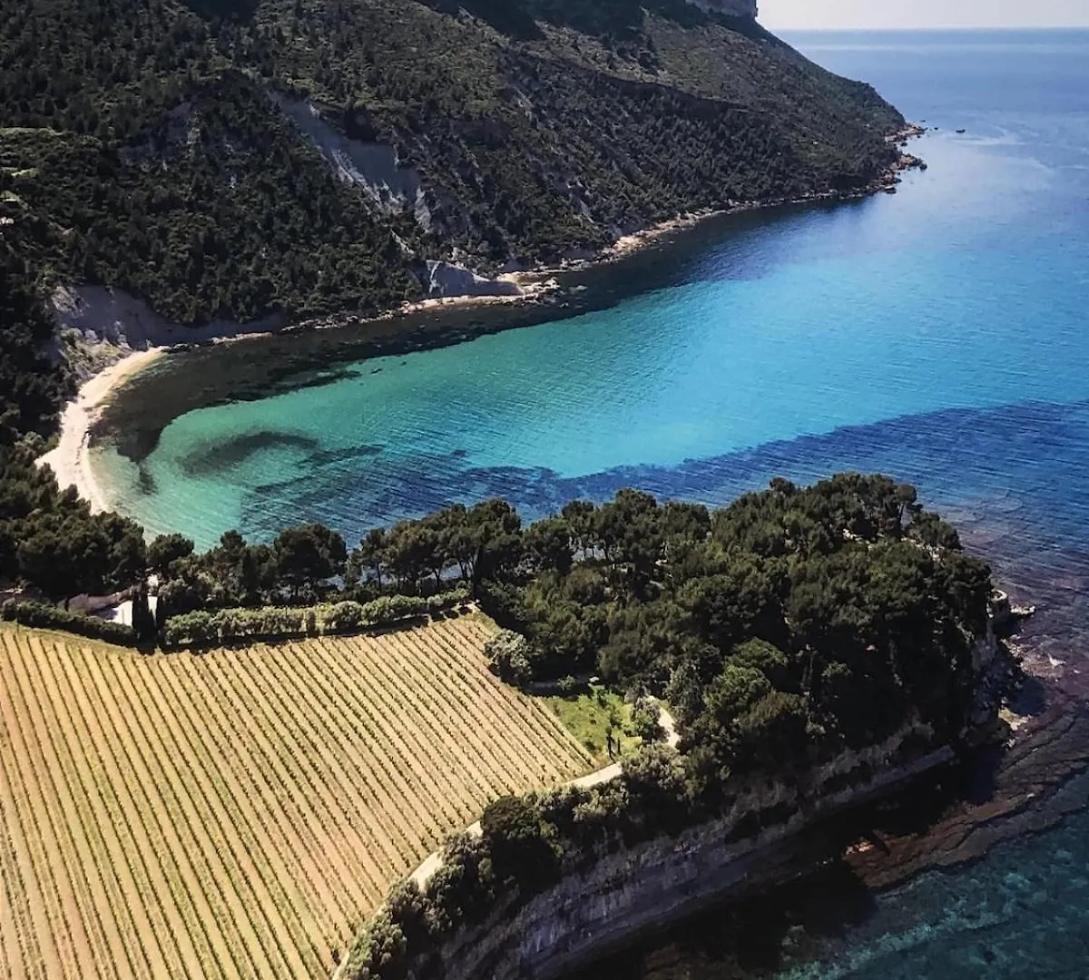 Oasis De Verdure - Elegance En Provence - Piscine - 1 A 6 Personnes Cassis Villa