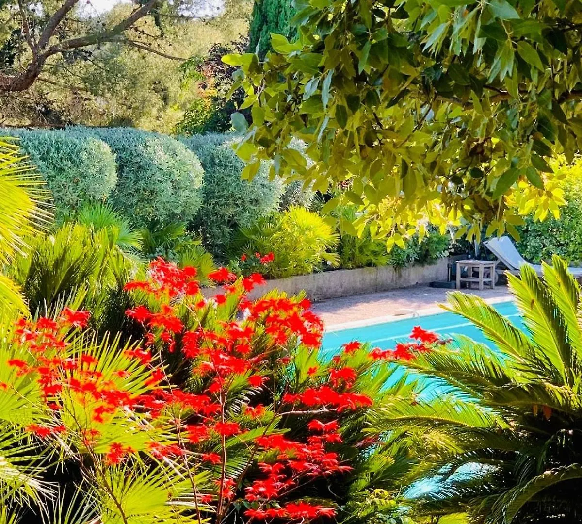 Villa Oasis De Verdure - Elegance En Provence - Piscine - 1 A 6 Personnes Cassis